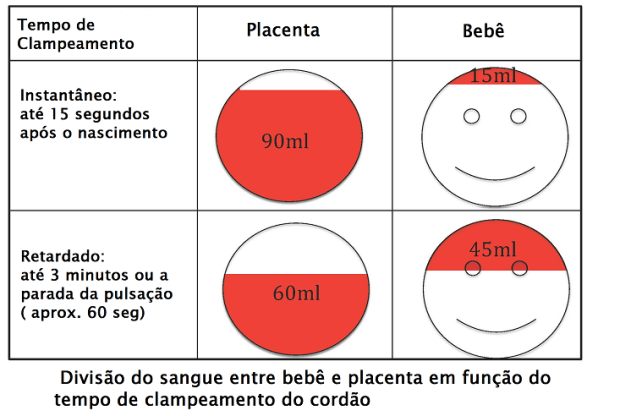 umbigo - clampeamento